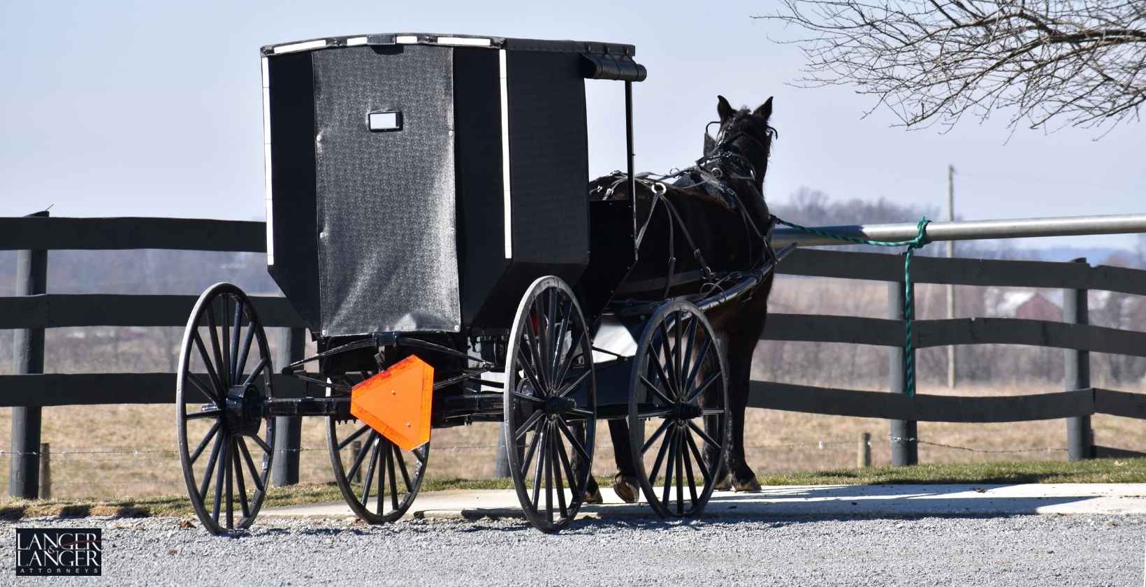 Two 11-Year-Olds, Toddler Injured After Vehicle Strikes Horse