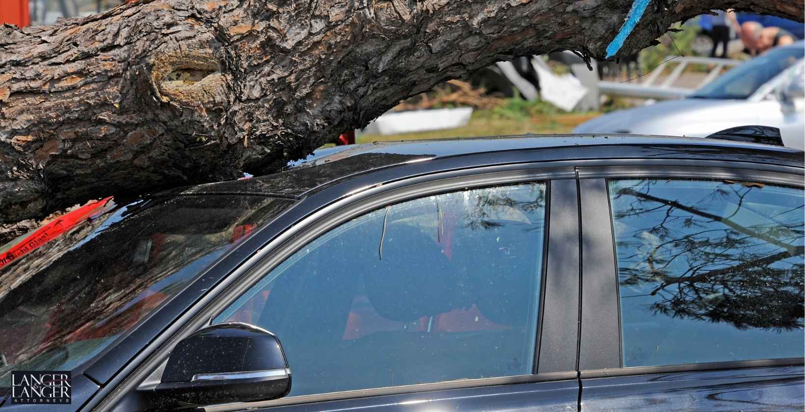 Juvenile Driver Killed